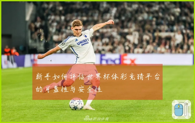 新手如何评估世界杯体彩竞猜平台的可靠性与安全性