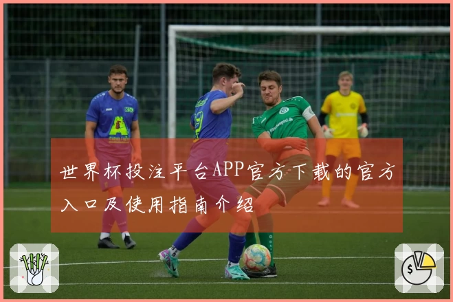 世界杯投注平台APP官方下载的官方入口及使用指南介绍