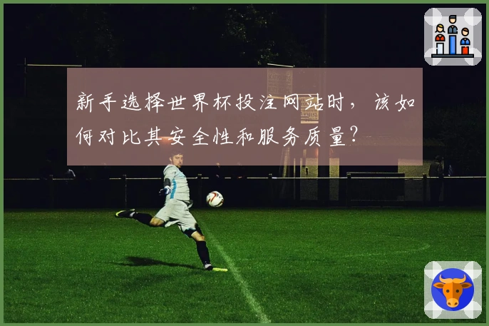 新手选择世界杯投注网站时，该如何对比其安全性和服务质量？