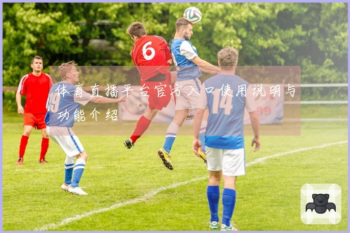 体育直播平台官方入口使用说明与功能介绍