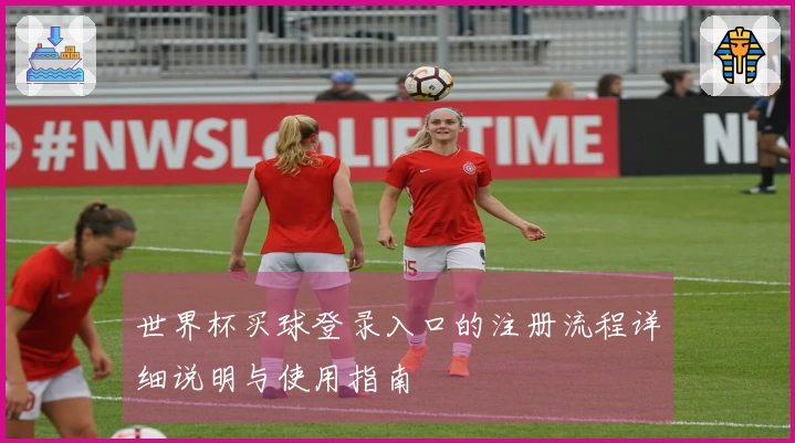 世界杯买球登录入口的注册流程详细说明与使用指南