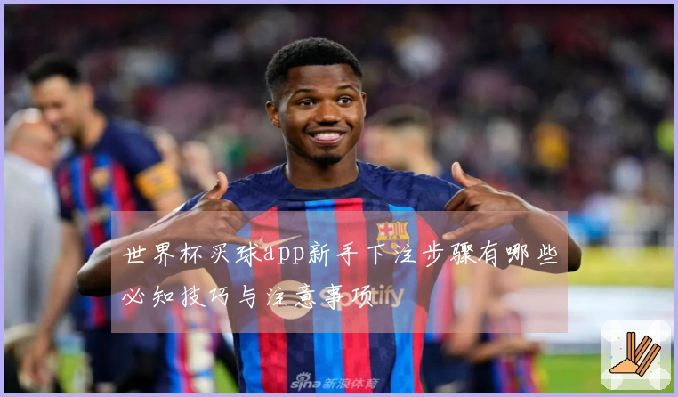 世界杯买球app新手下注步骤有哪些必知技巧与注意事项