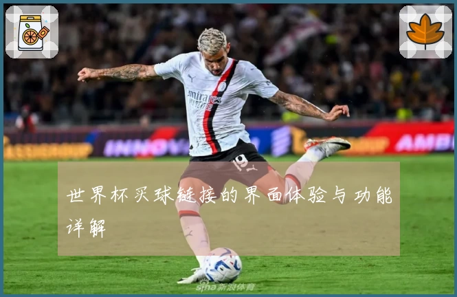 世界杯买球链接的界面体验与功能详解