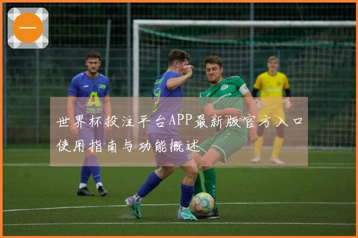 世界杯投注平台APP最新版官方入口使用指南与功能概述