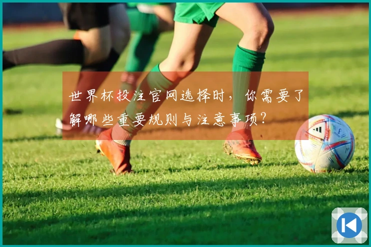世界杯投注官网选择时，你需要了解哪些重要规则与注意事项？