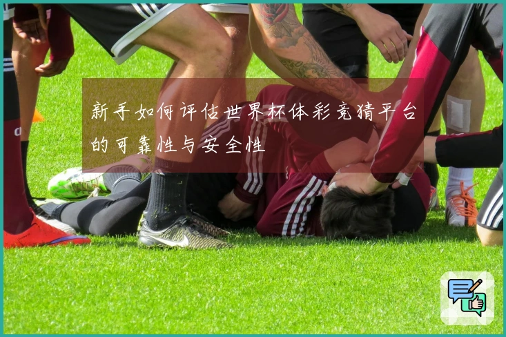 新手如何评估世界杯体彩竞猜平台的可靠性与安全性