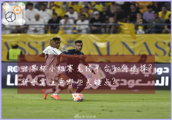 世界杯小组赛竞猜平台如何选择？新手需注意哪些关键点？