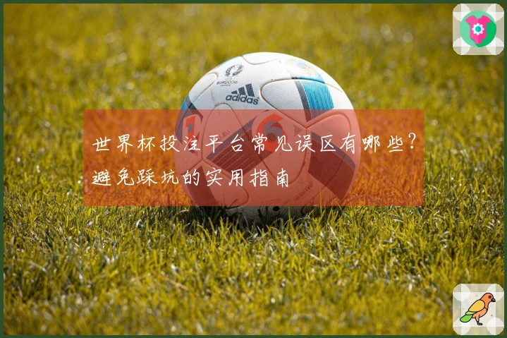 世界杯投注平台常见误区有哪些？避免踩坑的实用指南