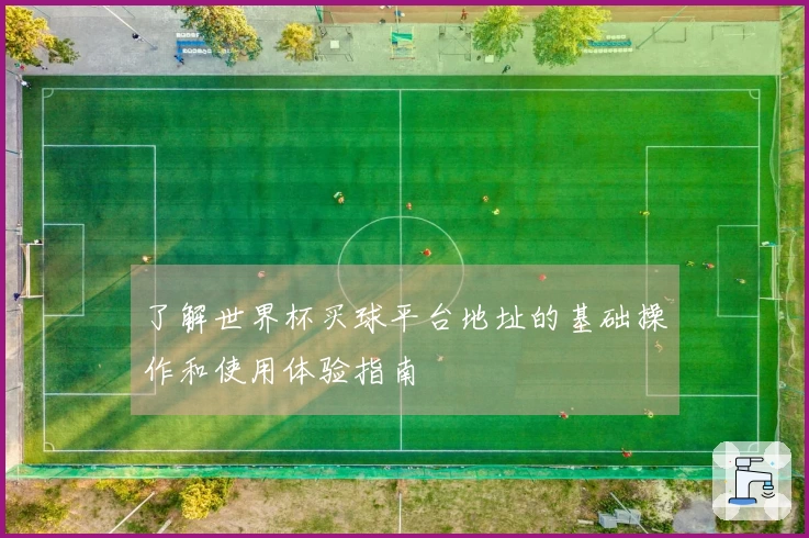 了解世界杯买球平台地址的基础操作和使用体验指南