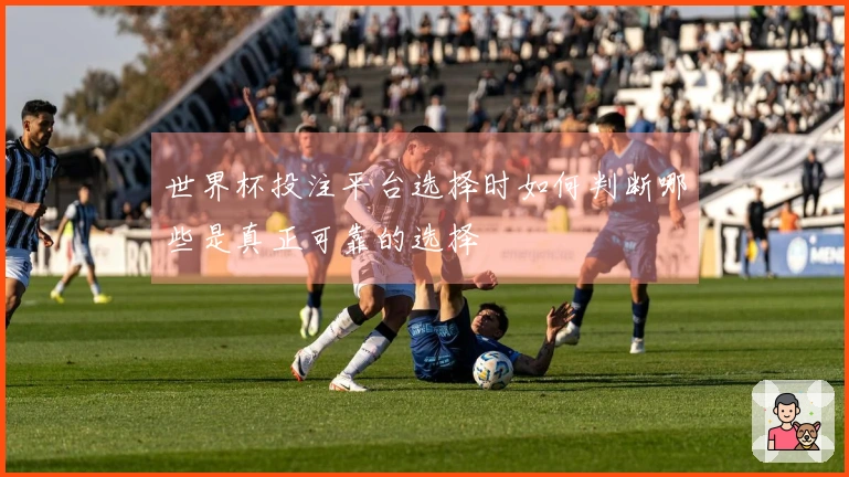 世界杯投注平台选择时如何判断哪些是真正可靠的选择
