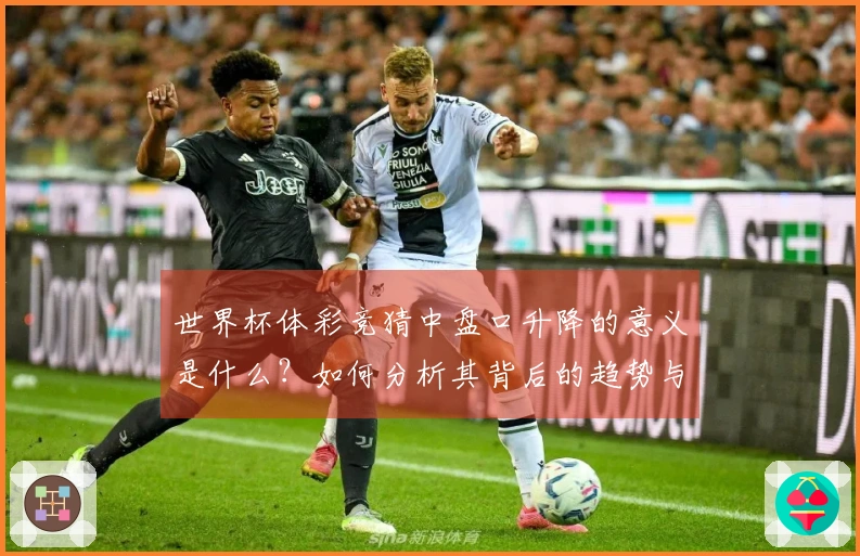 世界杯体彩竞猜中盘口升降的意义是什么？如何分析其背后的趋势与策略？
