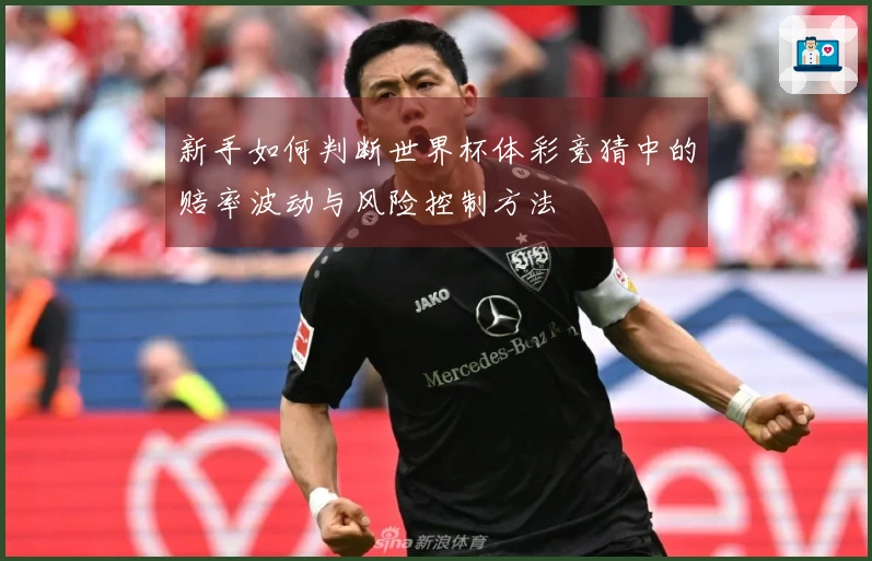 新手如何判断世界杯体彩竞猜中的赔率波动与风险控制方法