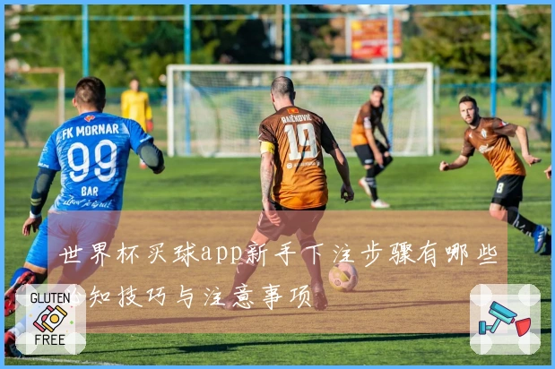 世界杯买球app新手下注步骤有哪些必知技巧与注意事项