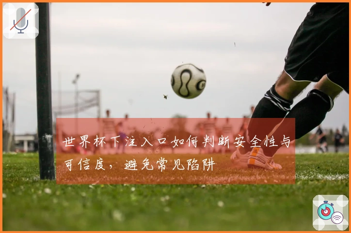世界杯下注入口如何判断安全性与可信度，避免常见陷阱