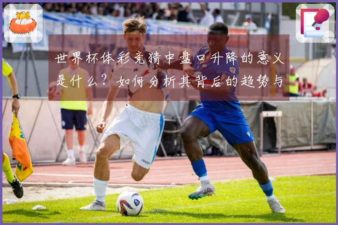 世界杯体彩竞猜中盘口升降的意义是什么？如何分析其背后的趋势与策略？