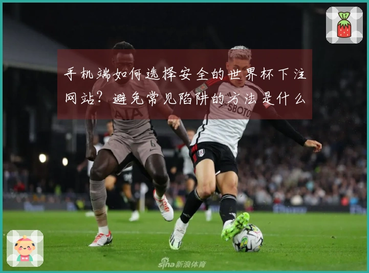手机端如何选择安全的世界杯下注网站？避免常见陷阱的方法是什么？